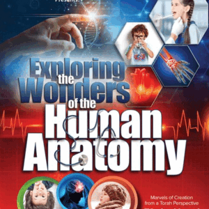 Exploring the Wonders of the Human Anatomy