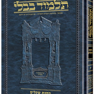 Talmud Hebrew Daf #10- Pesachim Vol 2 (42a-80b)