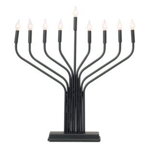 ELECTRIC MENORAH RAMBAM CHABAD 18x16