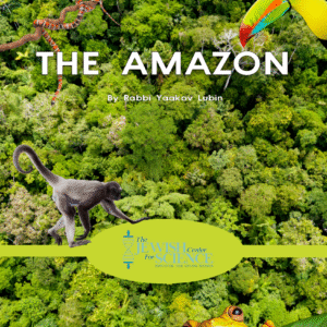 The Amazon