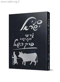 פני ישראל פרק השואל Pnei Yisroel Hashoel