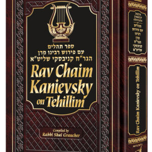 RAV CHAIM KANIEVSKY ON TEHILLIM
