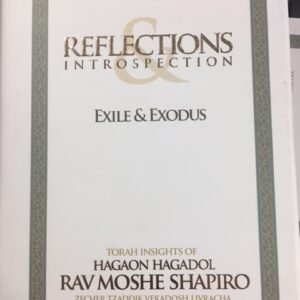 Reflections Introspection EXILE & EXODUS
