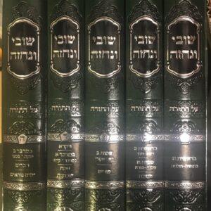 שובי ונחזה - עה"ת ה"כ - רבי משה שפירא SHUVI VENICHZEH SET
