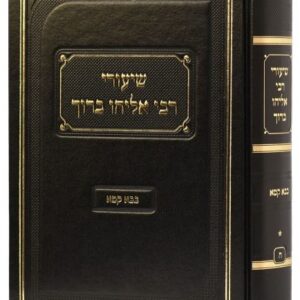 שיעורי רבי אליהו ברוך בבא קמא א Shuirei Rabi Eliyahu Baruch Baba Kama Vol 1