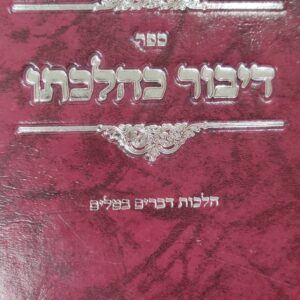 דיבור כהלכותו - דברים בטלים DIBUR KEHILCHOSO