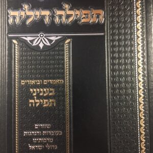 תפילה דיליה - מאמרים וביאורים בעניני תפילה TEFILLAH DELAI