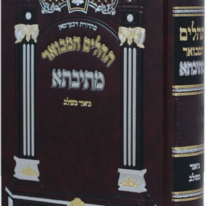 Tehillim Mesivta תהלים מתיבתא LG
