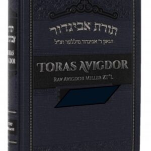 TORAS AVIGDOR VOL 5 DEVARIM