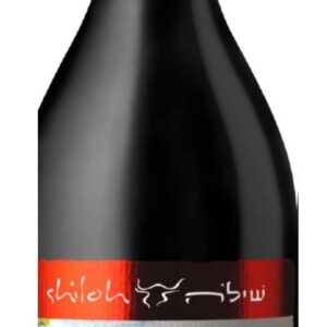 Shiloh Legend Honi 2016