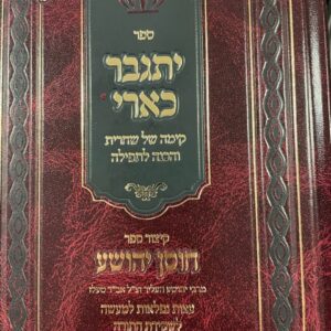 יתגבר כארי - קימה של שחרית והכנה לתפילה YISGABER KEARI