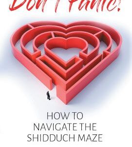 Don't Panic - HOW TO NAVIGATE THE SHIDDUCH MAZE
