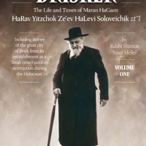 The Brisker Rav Vol 1