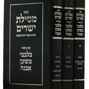מסילת ישרים בלבבי משכן אבנה MESILLAS YESHARIM BIUR BILVAVI MISHKAN EVNEH 3 VOL