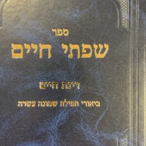 שפתי חיים - ביאורי תפילה בי Sifsei Chaim Biurei Tefillah 2