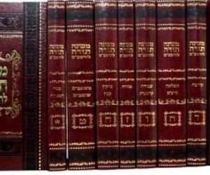 רמב"ם המנוקד גדול - 10 כרכים - מכון אור דוד RAMBAM MISHNEH TORAH 10 VOL MENUKAD FULL SIZE