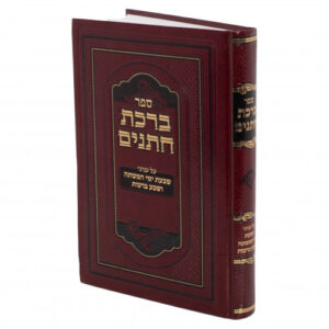 ברכת חתנים Birchas Chassanim