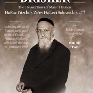 The Brisker Rav Volume 2