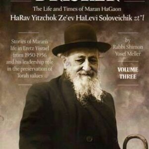 The Brisker Rav Volume 3