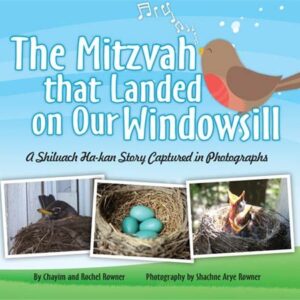 The Mitzvah That Landed On Our Windowsill