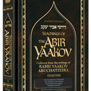 Teachings of The Abir Yaakov Vol 3