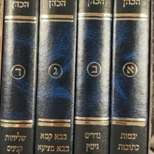 חידושי רבי שמעון יהודה על שס Chedushi Rebbe Shimon on Shas