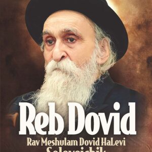 Reb Dovid Rav Meshulam Dovid HaLevi Soloveichik - Continuing The Brisk Dynasty