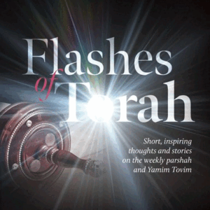 Flashes of Torah
