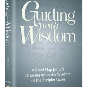 Guiding With Wisdom