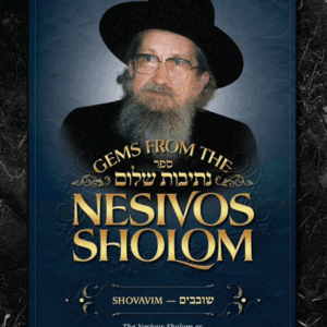 Gems from the Nesivos Shalom Shovavim