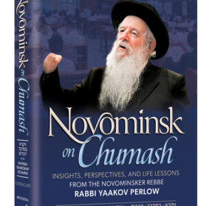 Novominsk on Chumash Vol 2