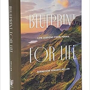 Blueprint - Life Lessons From Torah For Life Hardcover