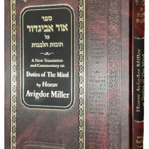 Ohr Avigdor Volume 6 - Shaar HaKeniah