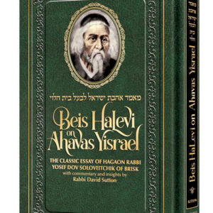 Beis HaLevi on Ahavas Yisrael