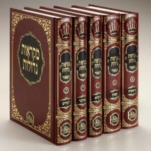 מקראות גדולות חומש המאור Mikros Gidalos Chumash Machon Meor Set Full size S2 8x10