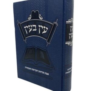 עין בעין אמת תורתינו הקדושה והטהורה גיפס AIN BEAIN EMET TORATEINU HAKDOSHA