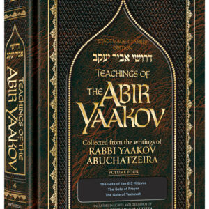 Teachings of The Abir Yaakov Vol 4