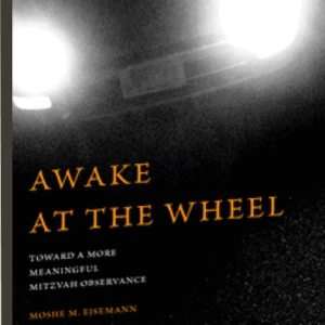Awake at the wheel