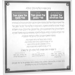 Basics Al Hamichyah Grey