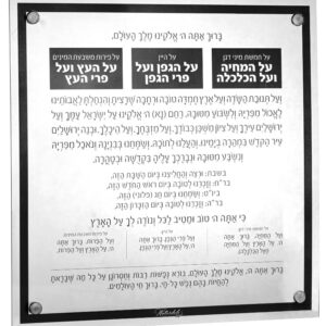 Basics Al Hamichyah Black