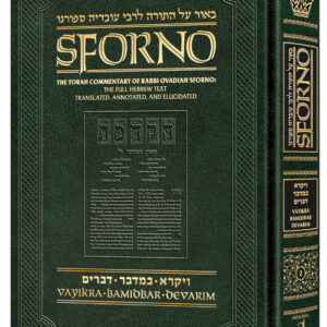 Sforno on Chumash volume 2