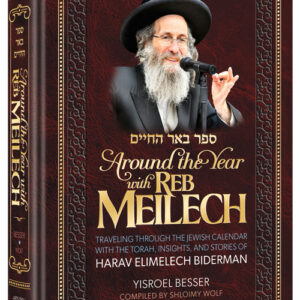 Around The Year With Reb Meilech