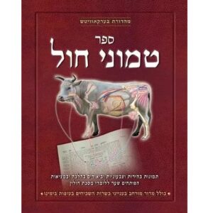 Sefer Temunei Chol Hebrew