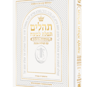 Hebrew Only, Large Type Tehillim with English Introductions Pocket size white