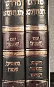 מדרש תנחומאMidrash Tanchuma 2 vol