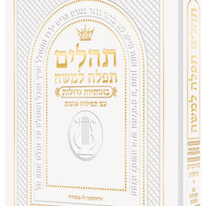 Hebrew Only, Large Type Tehillim with English Introductions- White