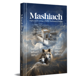 Mashiach: Who? What? Why?