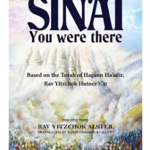 Sinai: You Were There