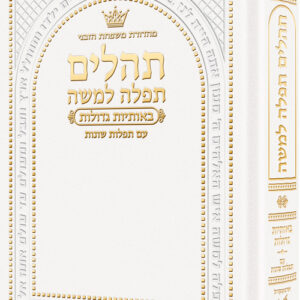 Hebrew Only, Large Type Tehillim with Hebrew Introductions Pocket size White