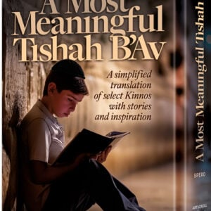 A Most Meaningful Tishah B'Av